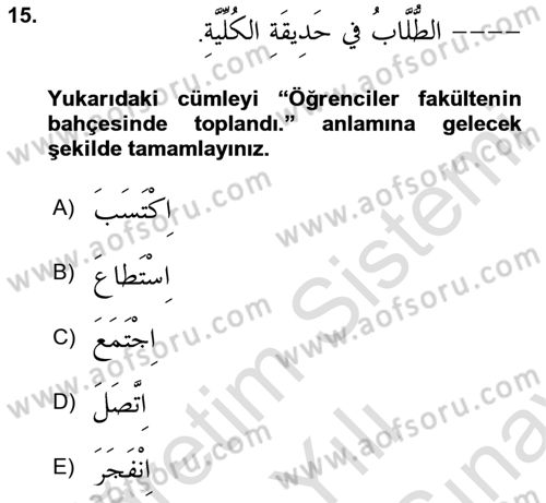 Arapça 2 Dersi 2023 - 2024 Yılı (Final) Dönem Sonu Sınav Soruları 15. Soru