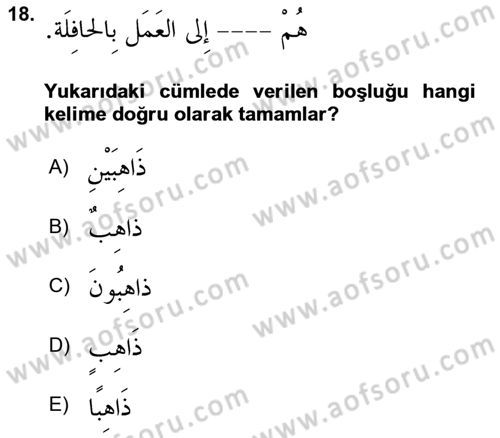 Arapça 2 Dersi 2023 - 2024 Yılı (Final) Dönem Sonu Sınav Soruları 18. Soru