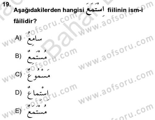 Arapça 2 Dersi 2023 - 2024 Yılı (Final) Dönem Sonu Sınav Soruları 19. Soru