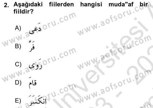 Arapça 2 Dersi 2023 - 2024 Yılı (Final) Dönem Sonu Sınav Soruları 2. Soru