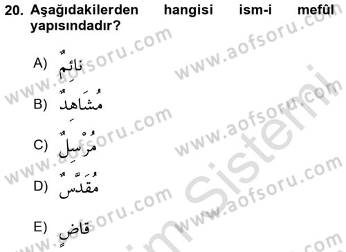 Arapça 2 Dersi 2023 - 2024 Yılı (Final) Dönem Sonu Sınav Soruları 20. Soru