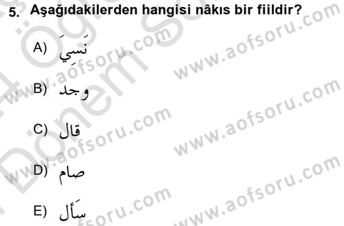 Arapça 2 Dersi 2023 - 2024 Yılı (Final) Dönem Sonu Sınav Soruları 5. Soru