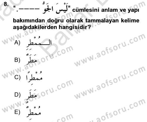 Arapça 2 Dersi 2023 - 2024 Yılı (Final) Dönem Sonu Sınav Soruları 8. Soru