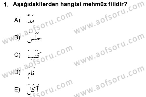 Arapça 2 Dersi 2023 - 2024 Yılı Yaz Okulu Sınav Soruları 1. Soru