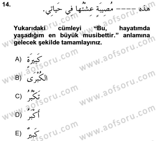 Arapça 2 Dersi 2023 - 2024 Yılı Yaz Okulu Sınav Soruları 14. Soru