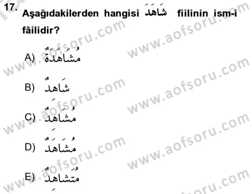 Arapça 2 Dersi 2023 - 2024 Yılı Yaz Okulu Sınav Soruları 17. Soru