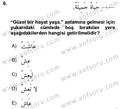 Arapça 2 Dersi 2023 - 2024 Yılı Yaz Okulu Sınav Soruları 6. Soru