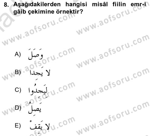 Arapça 2 Dersi 2023 - 2024 Yılı Yaz Okulu Sınav Soruları 8. Soru