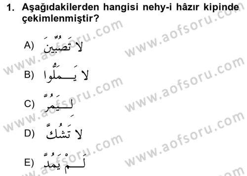 Arapça 2 Dersi 2024 - 2025 Yılı (Vize) Ara Sınav Soruları 1. Soru