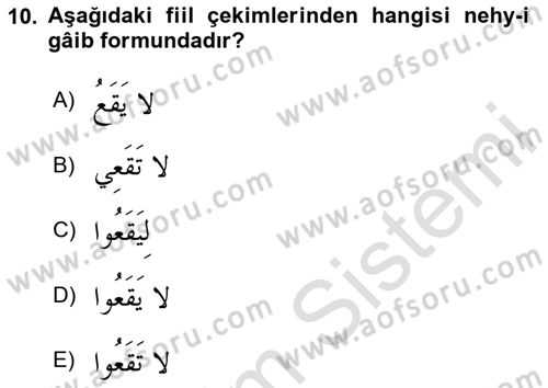 Arapça 2 Dersi 2024 - 2025 Yılı (Vize) Ara Sınav Soruları 10. Soru