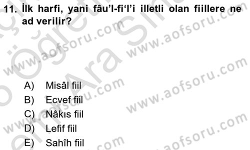 Arapça 2 Dersi 2024 - 2025 Yılı (Vize) Ara Sınav Soruları 11. Soru