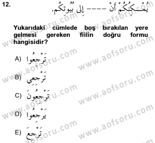 Arapça 2 Dersi 2024 - 2025 Yılı (Vize) Ara Sınav Soruları 12. Soru