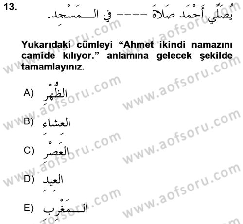 Arapça 2 Dersi 2024 - 2025 Yılı (Vize) Ara Sınav Soruları 13. Soru