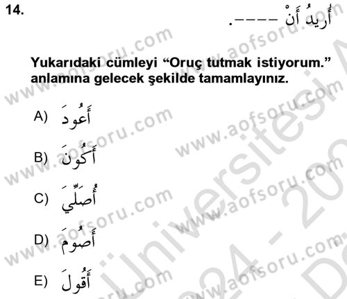 Arapça 2 Dersi 2024 - 2025 Yılı (Vize) Ara Sınav Soruları 14. Soru