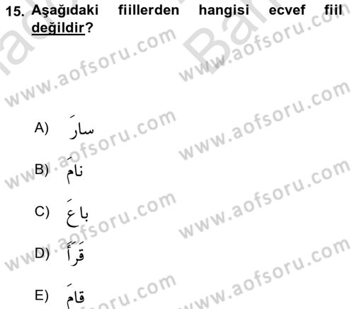 Arapça 2 Dersi 2024 - 2025 Yılı (Vize) Ara Sınav Soruları 15. Soru