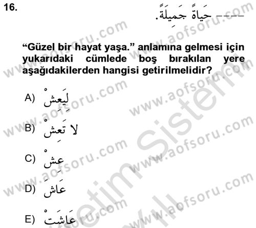 Arapça 2 Dersi 2024 - 2025 Yılı (Vize) Ara Sınav Soruları 16. Soru