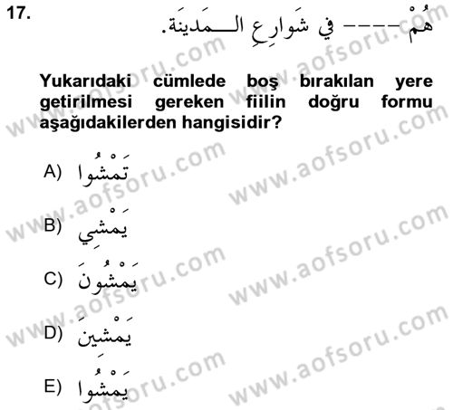 Arapça 2 Dersi 2024 - 2025 Yılı (Vize) Ara Sınav Soruları 17. Soru