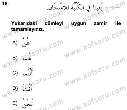 Arapça 2 Dersi 2024 - 2025 Yılı (Vize) Ara Sınav Soruları 18. Soru