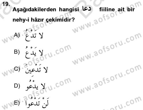 Arapça 2 Dersi 2024 - 2025 Yılı (Vize) Ara Sınav Soruları 19. Soru