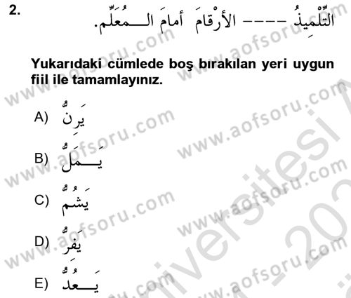 Arapça 2 Dersi 2024 - 2025 Yılı (Vize) Ara Sınav Soruları 2. Soru