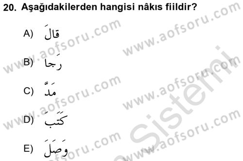 Arapça 2 Dersi 2024 - 2025 Yılı (Vize) Ara Sınav Soruları 20. Soru