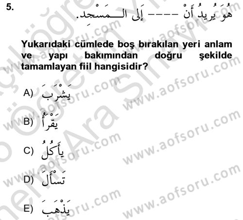 Arapça 2 Dersi 2024 - 2025 Yılı (Vize) Ara Sınav Soruları 5. Soru