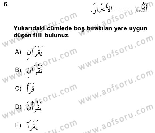 Arapça 2 Dersi 2024 - 2025 Yılı (Vize) Ara Sınav Soruları 6. Soru