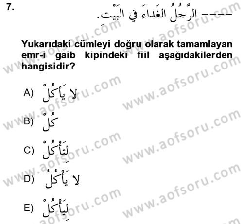 Arapça 2 Dersi 2024 - 2025 Yılı (Vize) Ara Sınav Soruları 7. Soru
