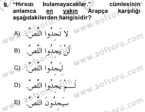 Arapça 2 Dersi 2024 - 2025 Yılı (Vize) Ara Sınav Soruları 9. Soru