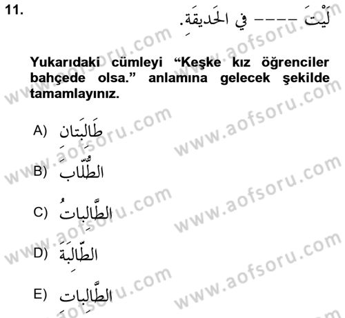 Arapça 2 Dersi 2024 - 2025 Yılı (Final) Dönem Sonu Sınav Soruları 11. Soru
