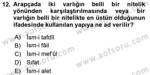 Arapça 2 Dersi 2024 - 2025 Yılı (Final) Dönem Sonu Sınav Soruları 12. Soru