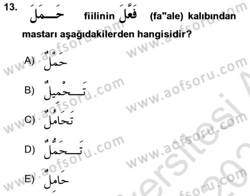 Arapça 2 Dersi 2024 - 2025 Yılı (Final) Dönem Sonu Sınav Soruları 13. Soru