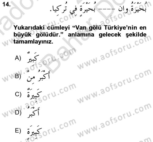 Arapça 2 Dersi 2024 - 2025 Yılı (Final) Dönem Sonu Sınav Soruları 14. Soru