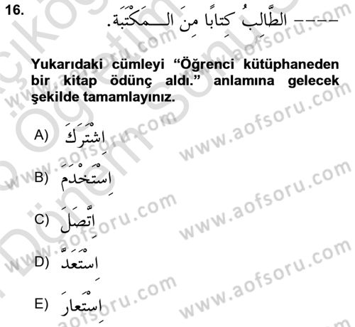 Arapça 2 Dersi 2024 - 2025 Yılı (Final) Dönem Sonu Sınav Soruları 16. Soru