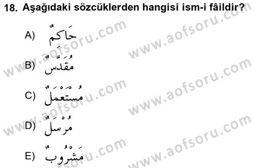 Arapça 2 Dersi 2024 - 2025 Yılı (Final) Dönem Sonu Sınav Soruları 18. Soru
