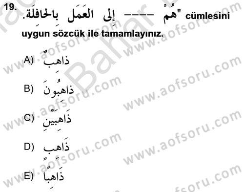 Arapça 2 Dersi 2024 - 2025 Yılı (Final) Dönem Sonu Sınav Soruları 19. Soru