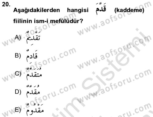 Arapça 2 Dersi 2024 - 2025 Yılı (Final) Dönem Sonu Sınav Soruları 20. Soru