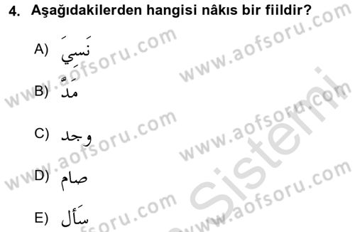 Arapça 2 Dersi 2024 - 2025 Yılı (Final) Dönem Sonu Sınav Soruları 4. Soru