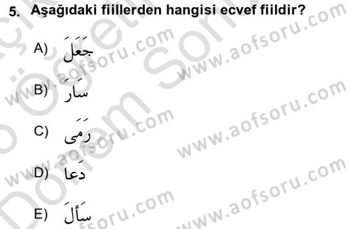 Arapça 2 Dersi 2024 - 2025 Yılı (Final) Dönem Sonu Sınav Soruları 5. Soru