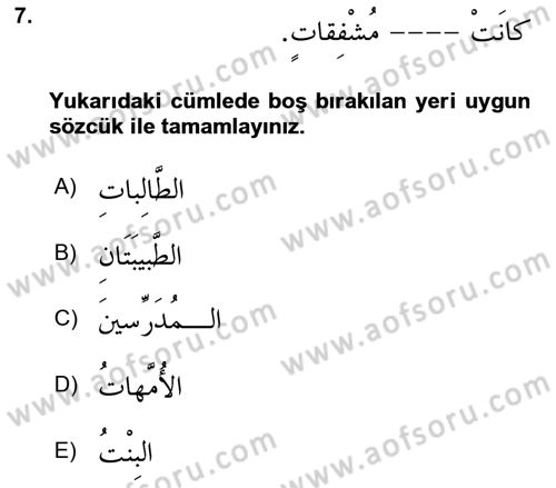 Arapça 2 Dersi 2024 - 2025 Yılı (Final) Dönem Sonu Sınav Soruları 7. Soru
