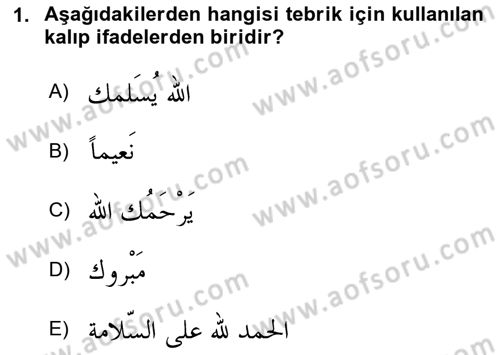 Arapça 2 Dersi 2024 - 2025 Yılı Yaz Okulu Sınav Soruları 1. Soru