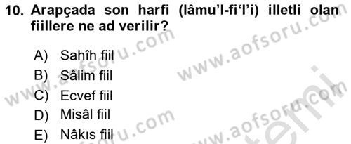 Arapça 2 Dersi 2024 - 2025 Yılı Yaz Okulu Sınav Soruları 10. Soru