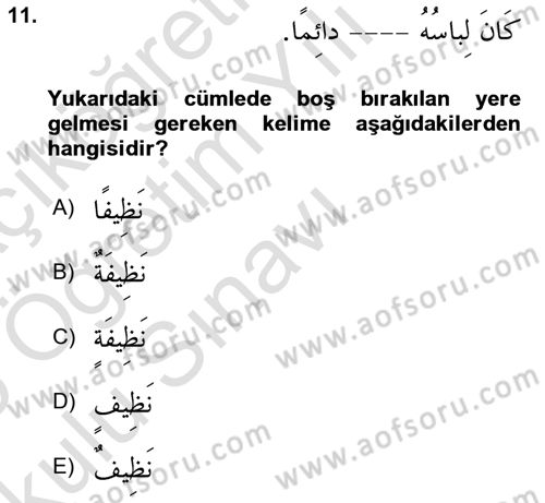 Arapça 2 Dersi 2024 - 2025 Yılı Yaz Okulu Sınav Soruları 11. Soru
