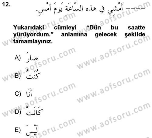 Arapça 2 Dersi 2024 - 2025 Yılı Yaz Okulu Sınav Soruları 12. Soru