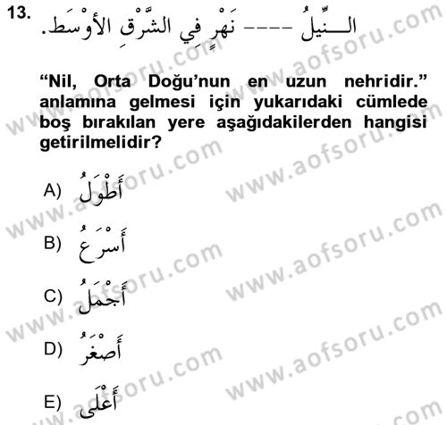 Arapça 2 Dersi 2024 - 2025 Yılı Yaz Okulu Sınav Soruları 13. Soru
