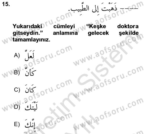 Arapça 2 Dersi 2024 - 2025 Yılı Yaz Okulu Sınav Soruları 15. Soru