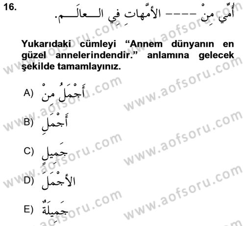 Arapça 2 Dersi 2024 - 2025 Yılı Yaz Okulu Sınav Soruları 16. Soru