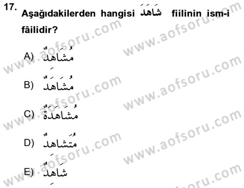 Arapça 2 Dersi 2024 - 2025 Yılı Yaz Okulu Sınav Soruları 17. Soru