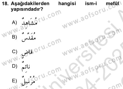 Arapça 2 Dersi 2024 - 2025 Yılı Yaz Okulu Sınav Soruları 18. Soru