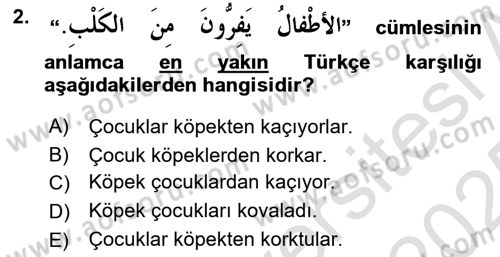 Arapça 2 Dersi 2024 - 2025 Yılı Yaz Okulu Sınav Soruları 2. Soru